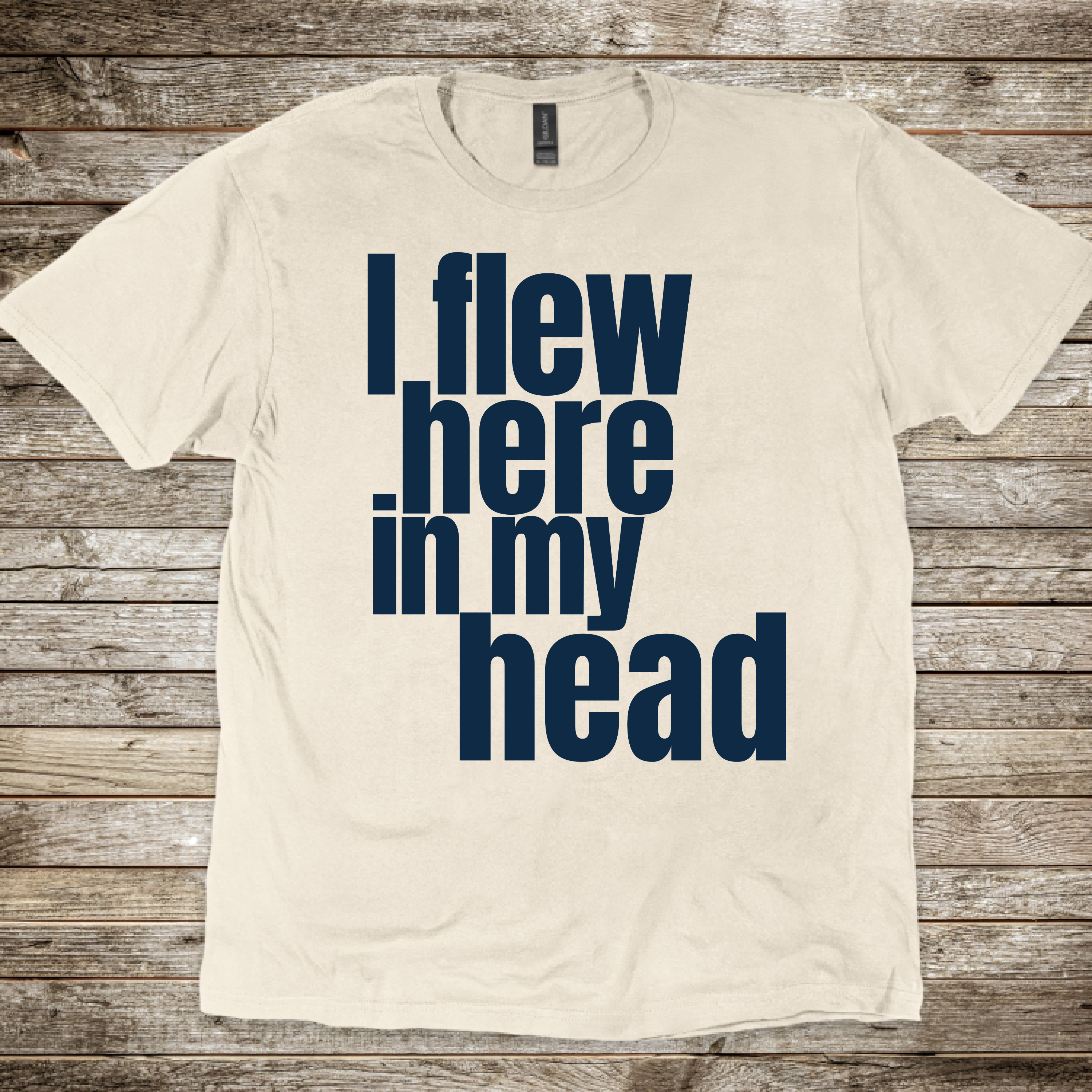 I Flew Here In My Head T-Shirt