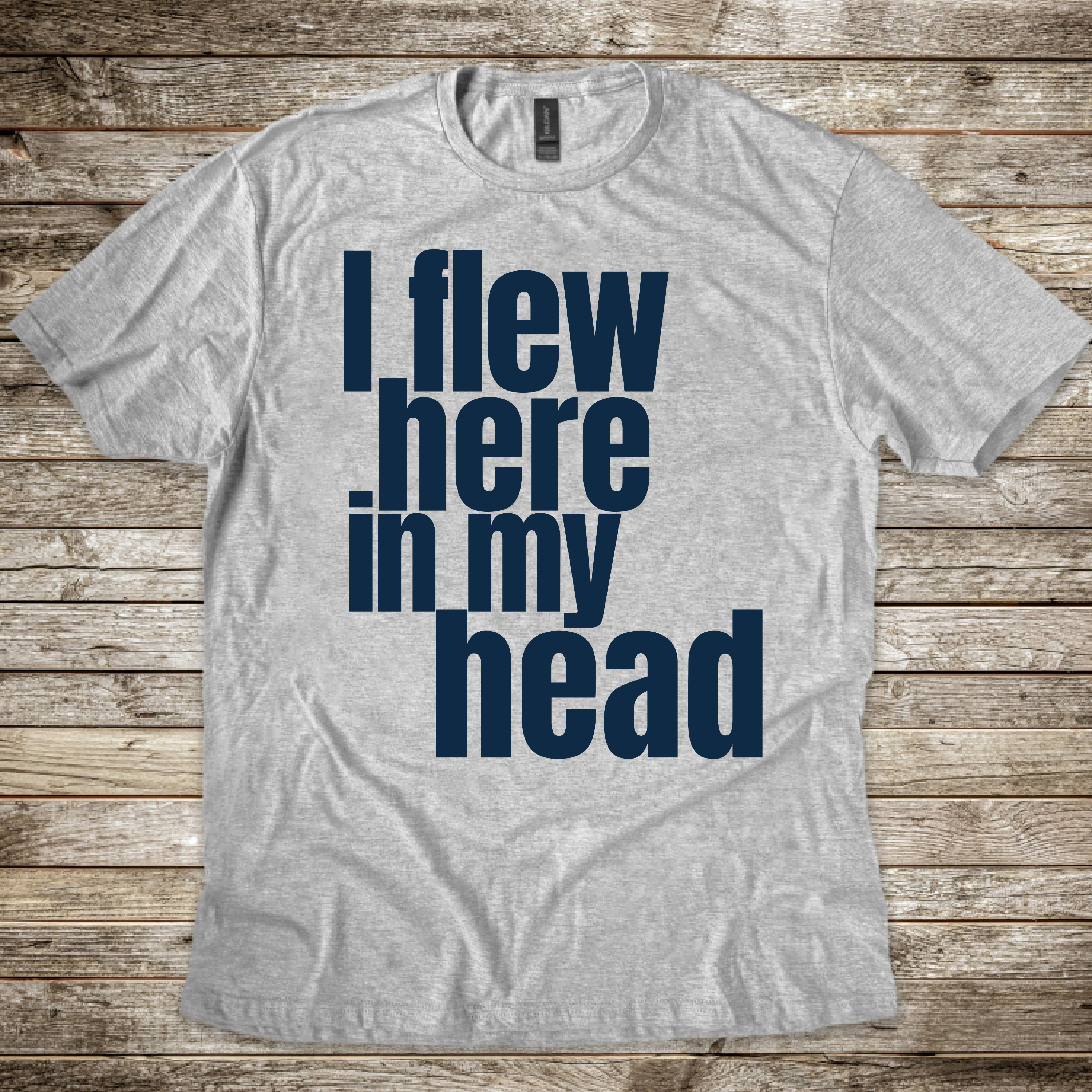 I Flew Here In My Head T-Shirt