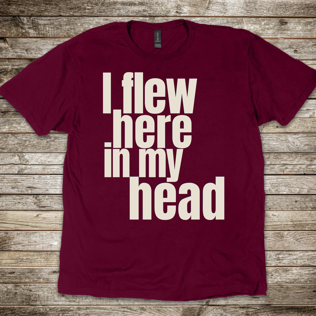 I Flew Here In My Head T-Shirt