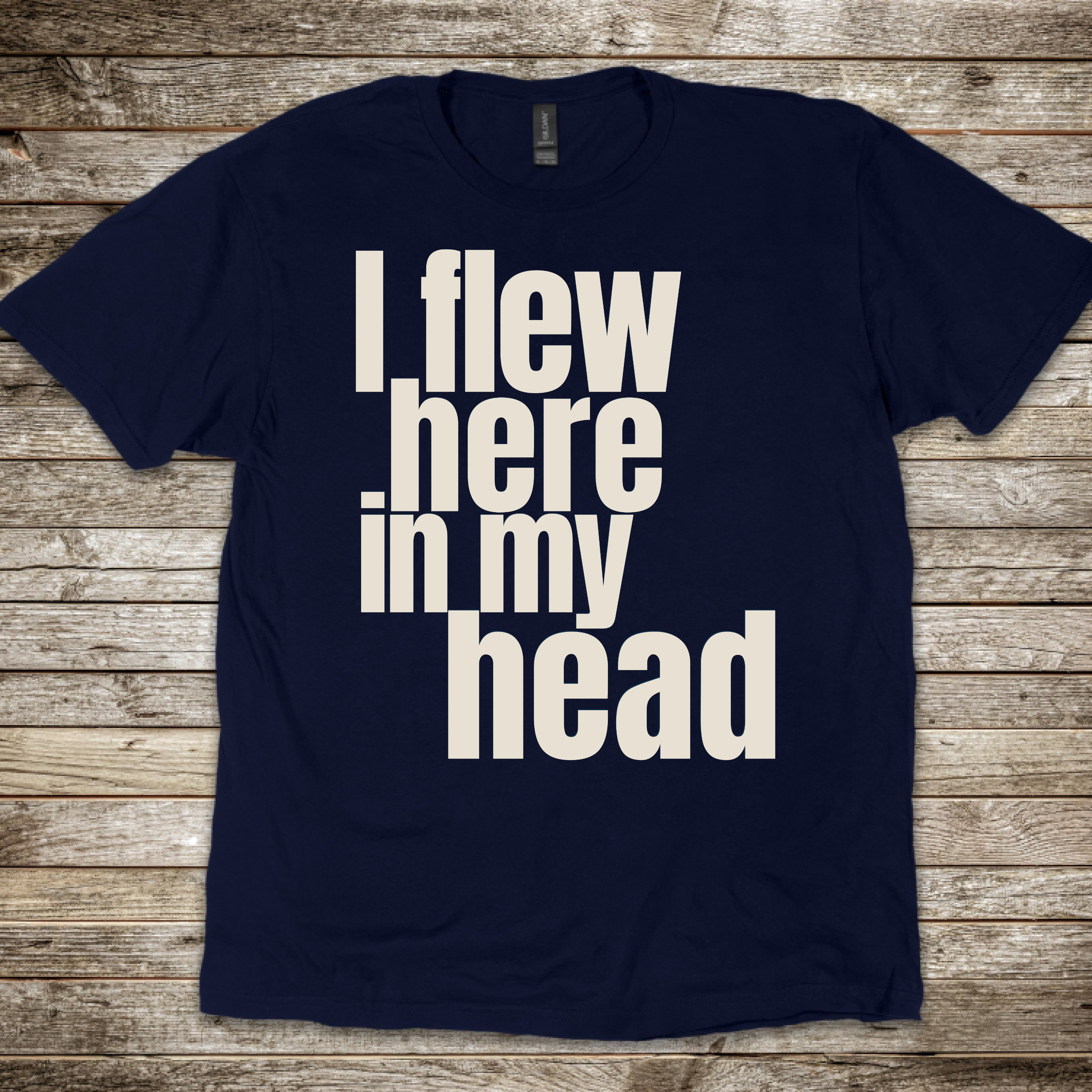 I Flew Here In My Head T-Shirt