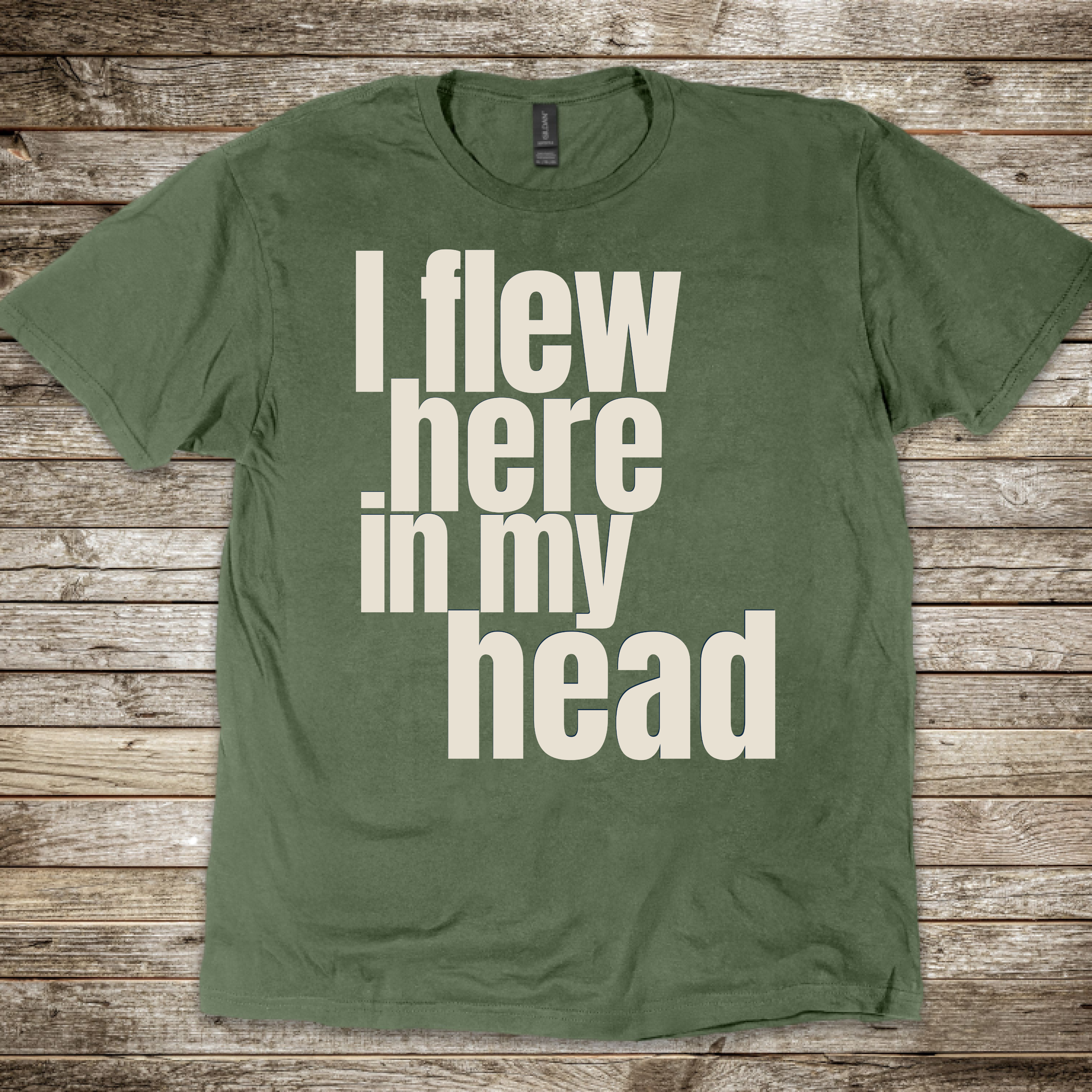 I Flew Here In My Head T-Shirt