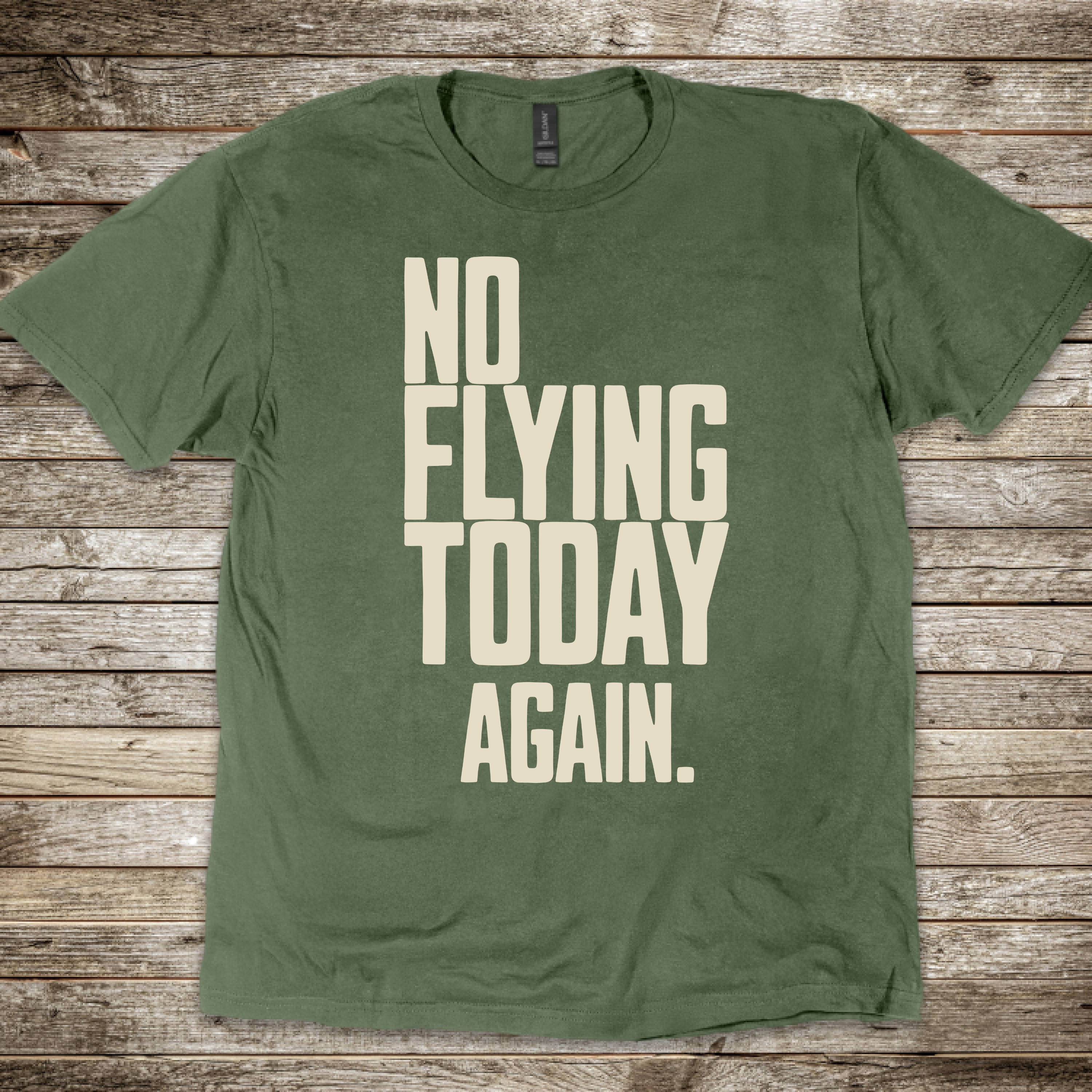 No Flying Today Again T-Shirt