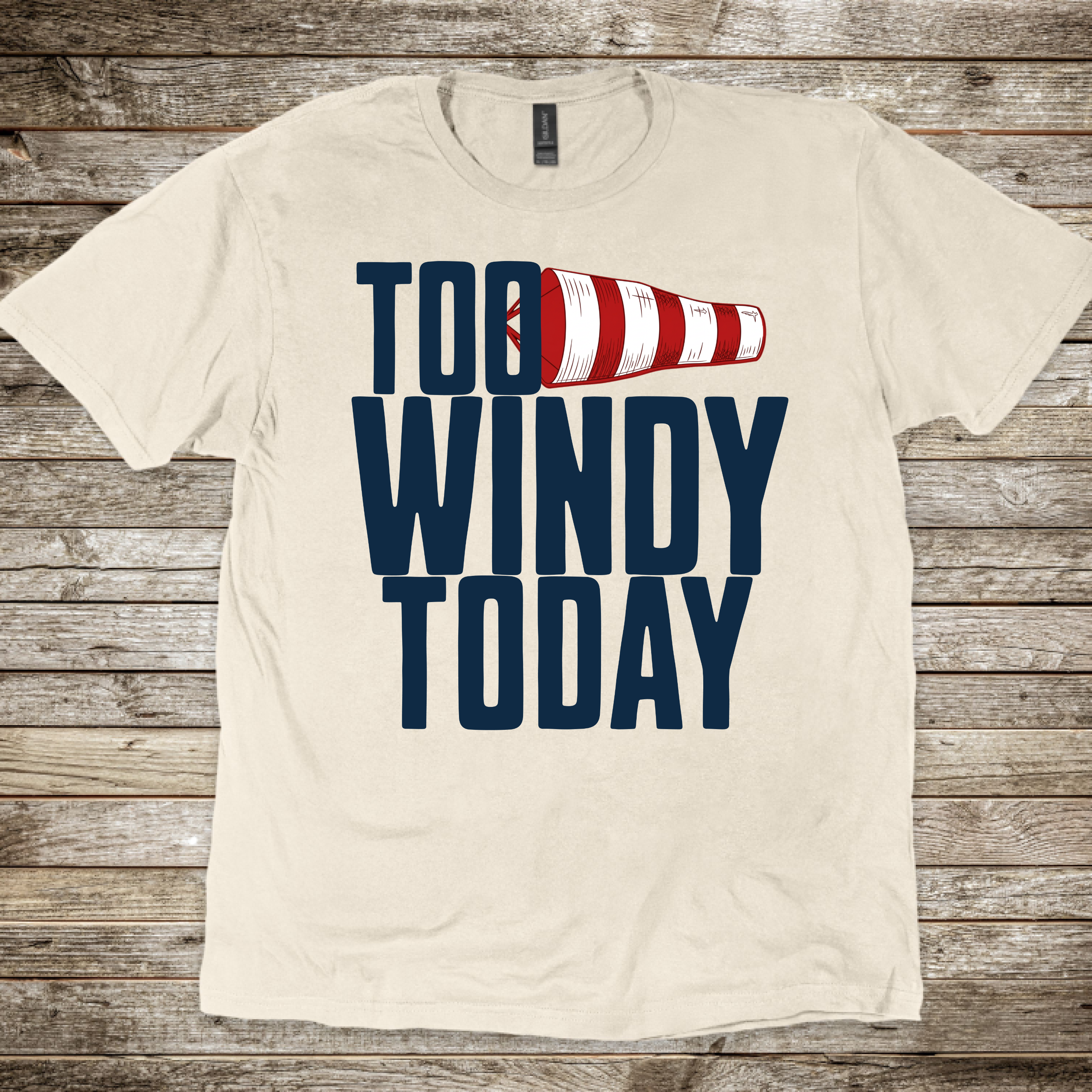 Too Windy Today T-Shirt