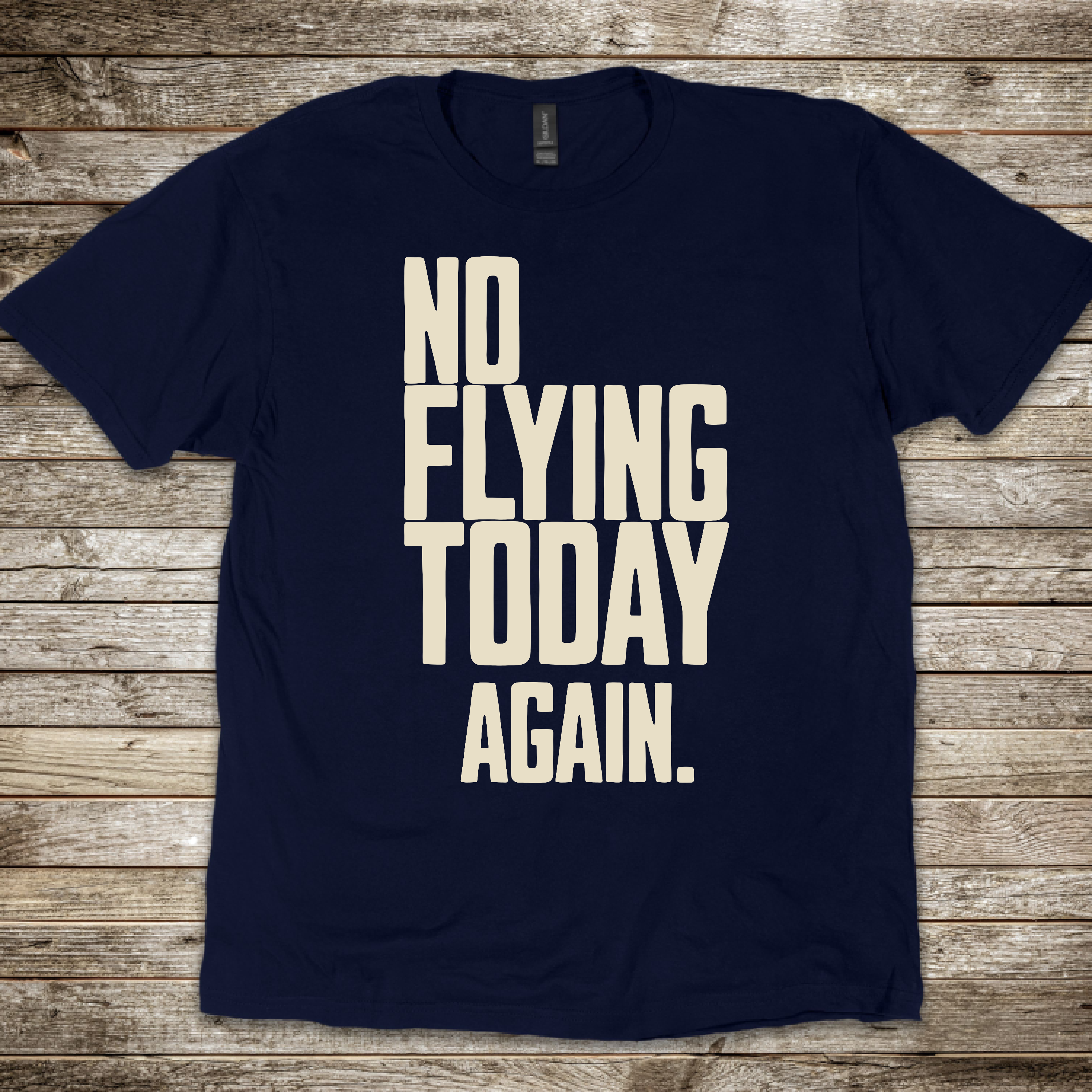 No Flying Today Again T-Shirt