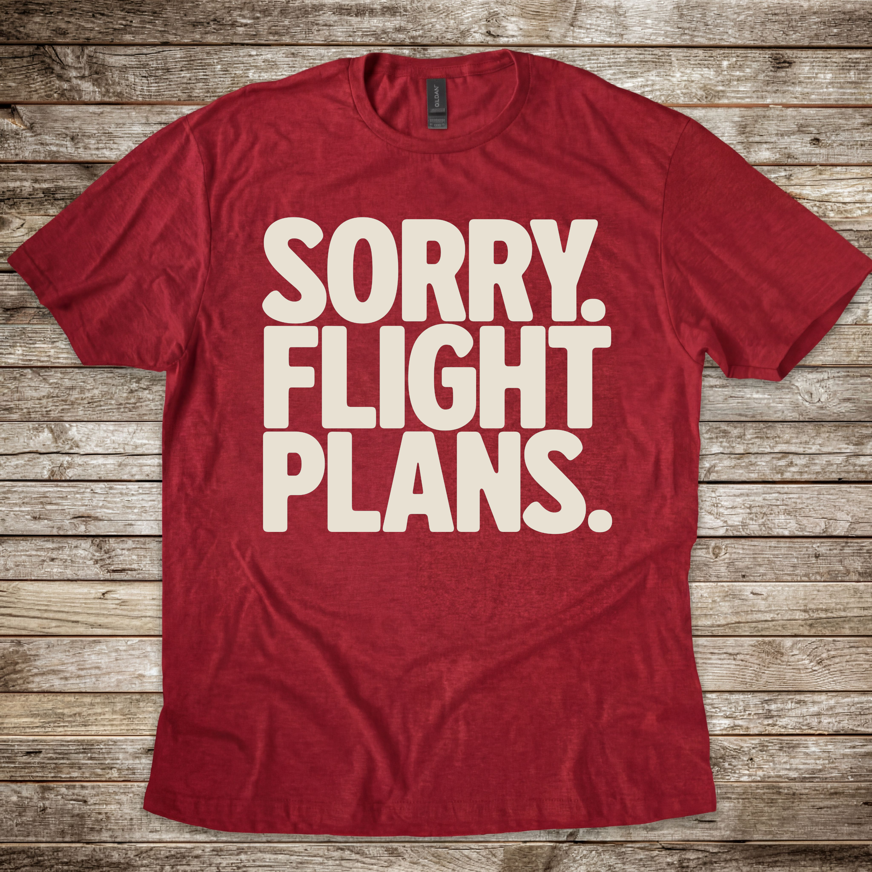Sorry. Flight Plans T-Shirt