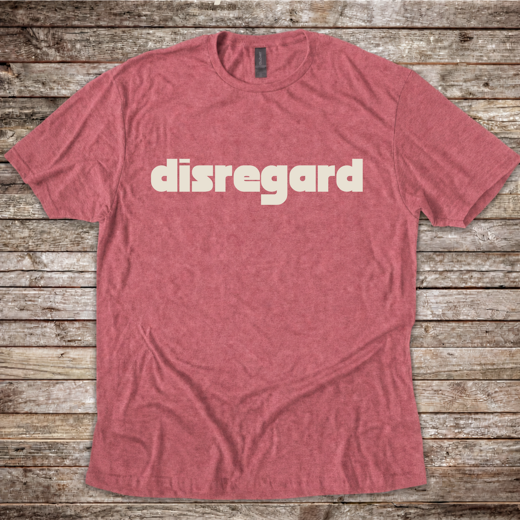 Disregard aviation T-shirt by Aero Rascals