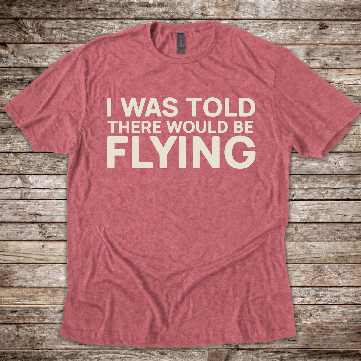 I Was Told There Would Be Flying T-Shirt