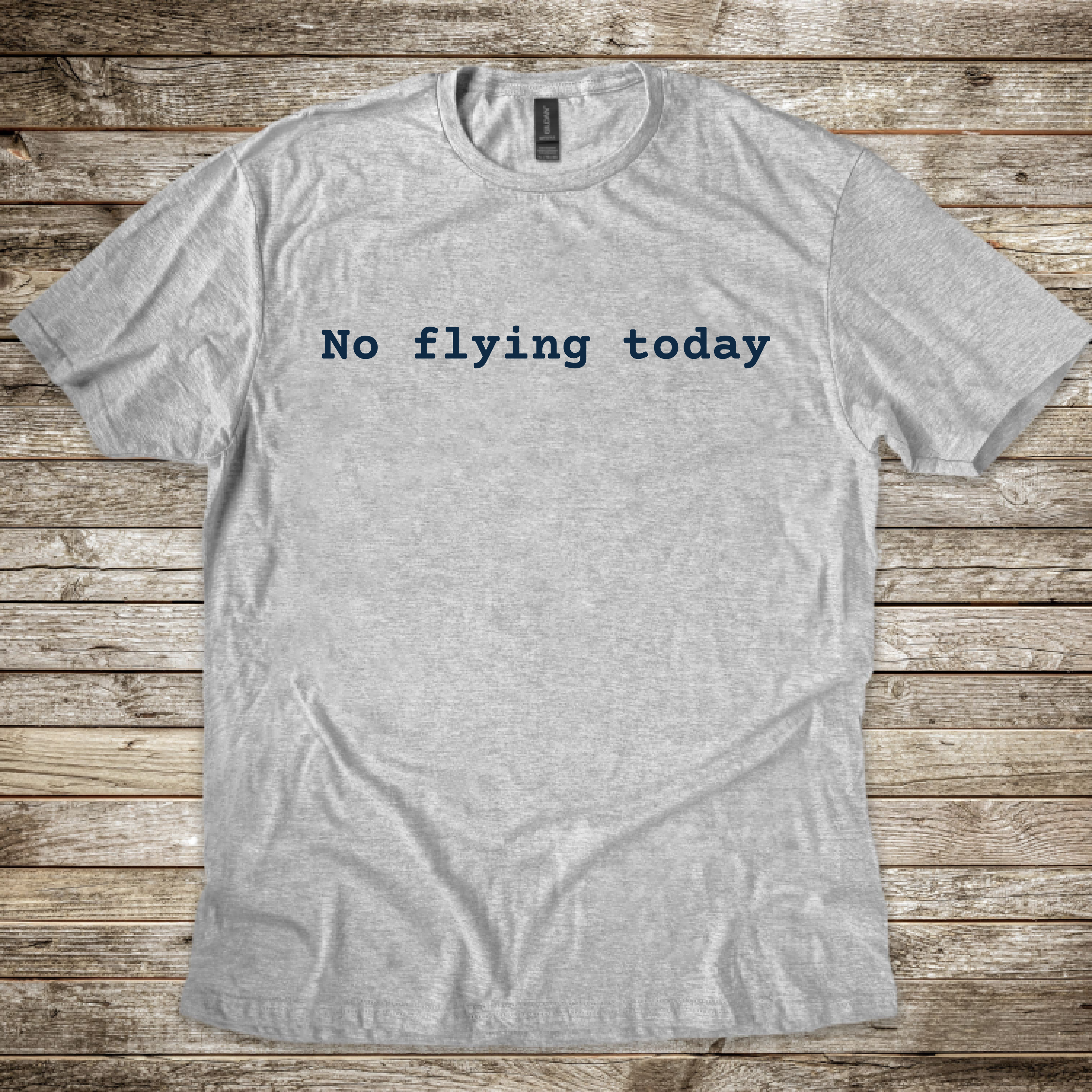 No Flying Today T-Shirt