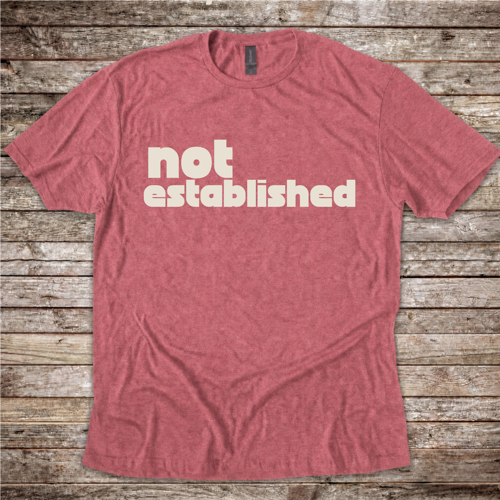 Aero Rascals Not Established pilot T-shirt