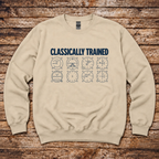 Aero Rascals Classically Trained pilot sweatshirt