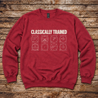 Pilot gift sweatshirt for classic aviation enthusiasts
