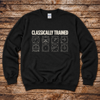 Aviation sweatshirt for flight instructors and private pilots