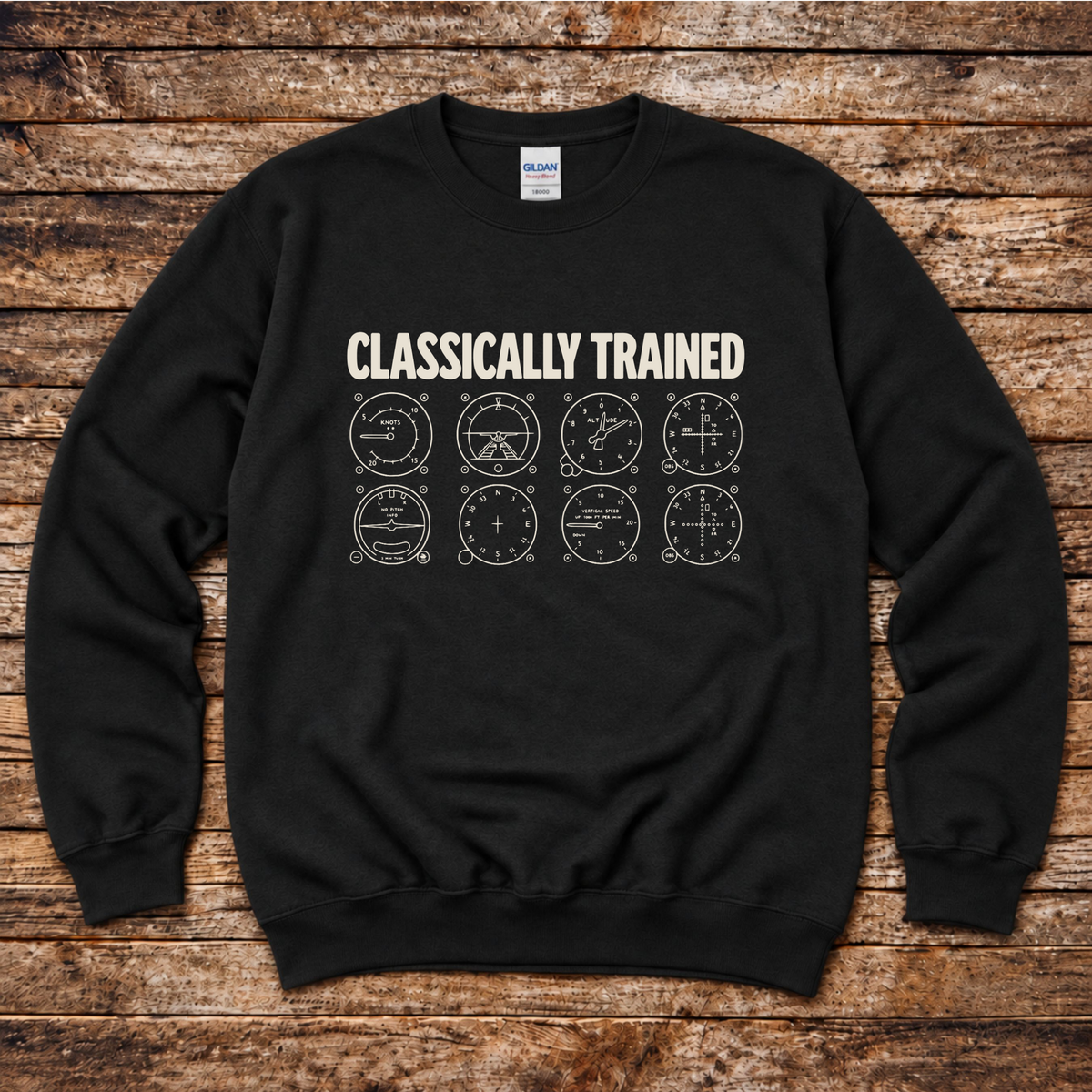 Aviation sweatshirt for flight instructors and private pilots