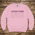 Classically Trained aviation crewneck for pilots