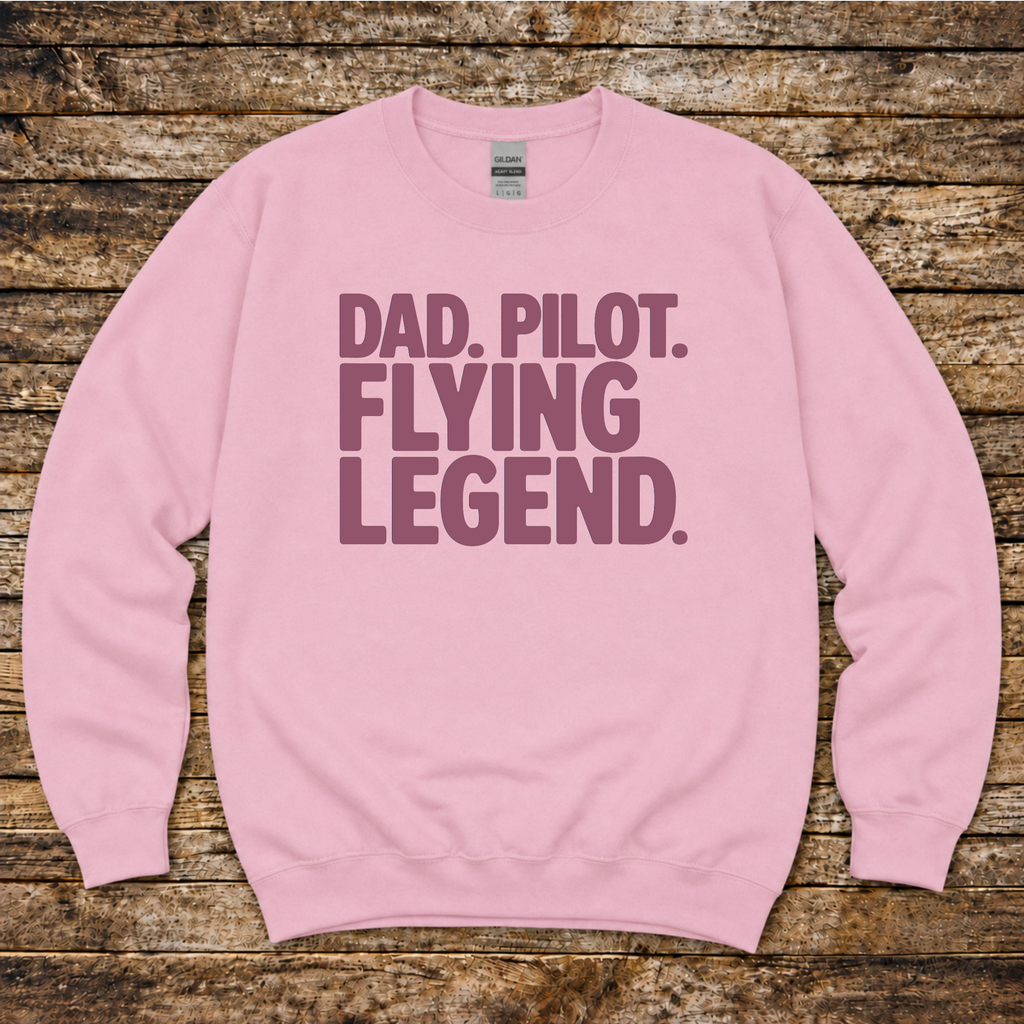 Aviation gift sweatshirt for dads who fly