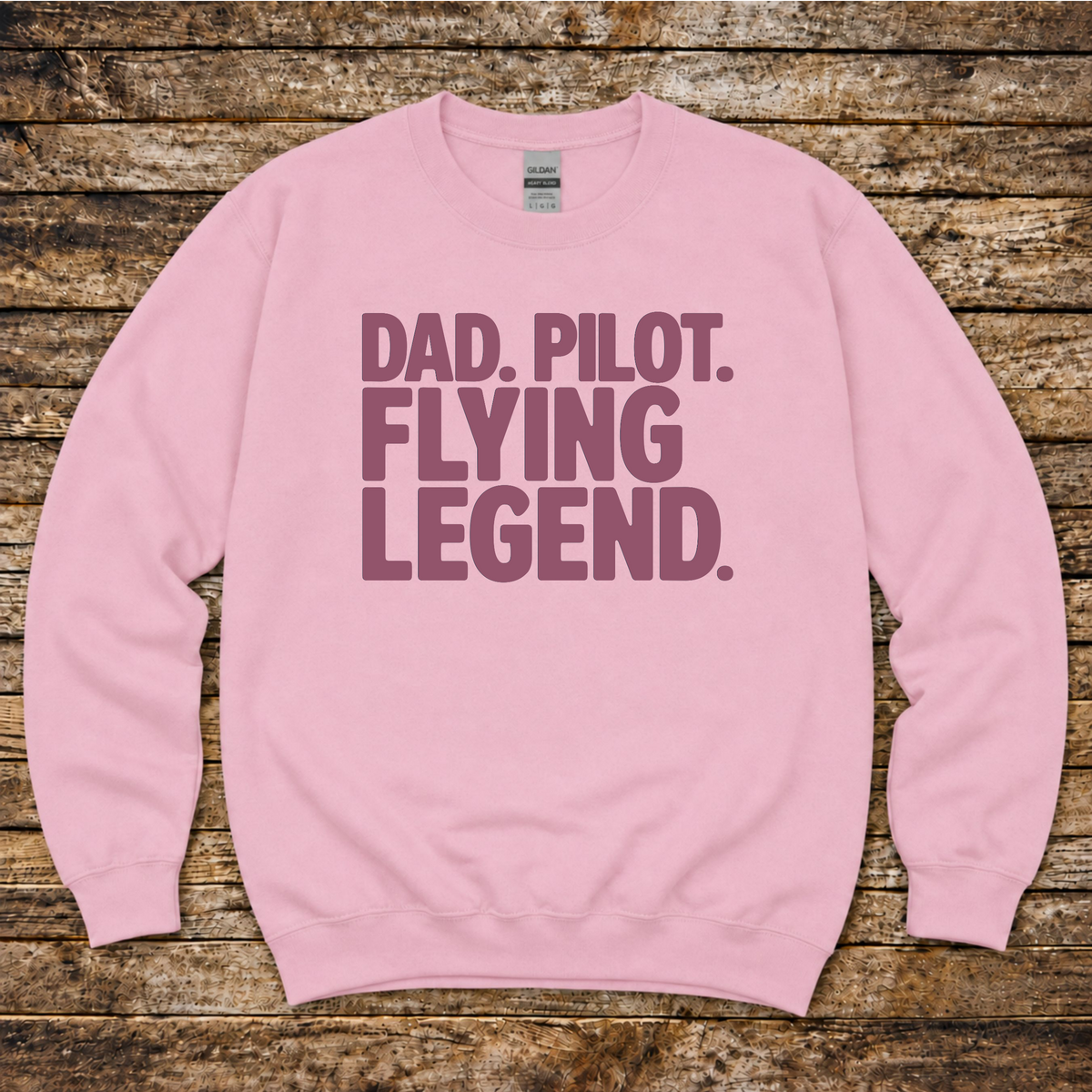Aviation gift sweatshirt for dads who fly