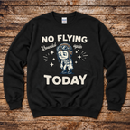 General aviation weather humour sweatshirt