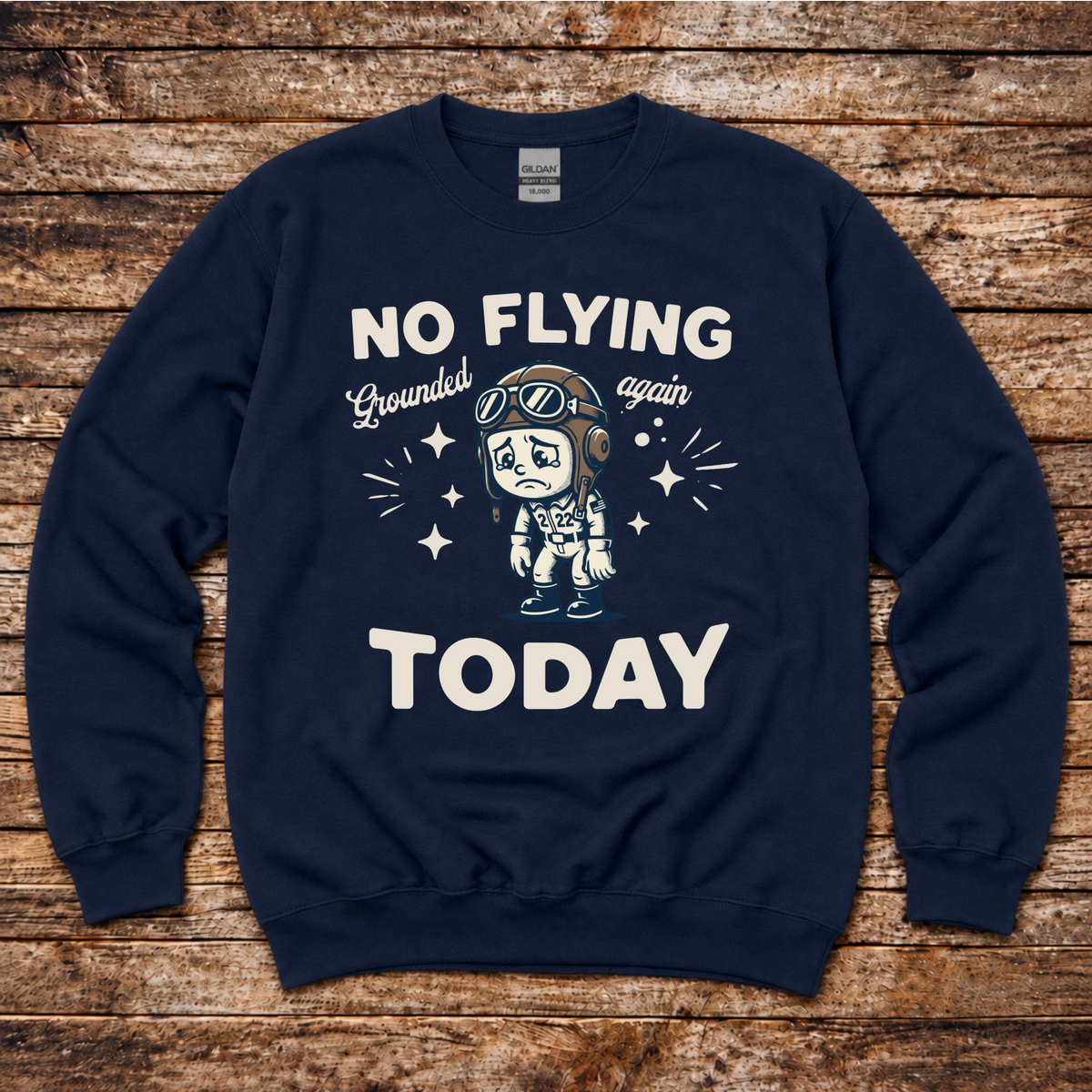 No Flying Today gift sweatshirt for student pilots