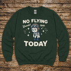 Pilot no-go decision aviation sweatshirt