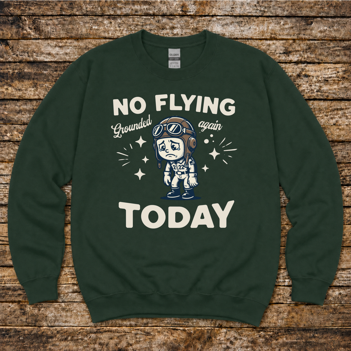 Pilot no-go decision aviation sweatshirt