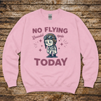 No Flying Today sweatshirt for private pilots