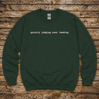 Quietly Judging Your Landing Sweatshirt