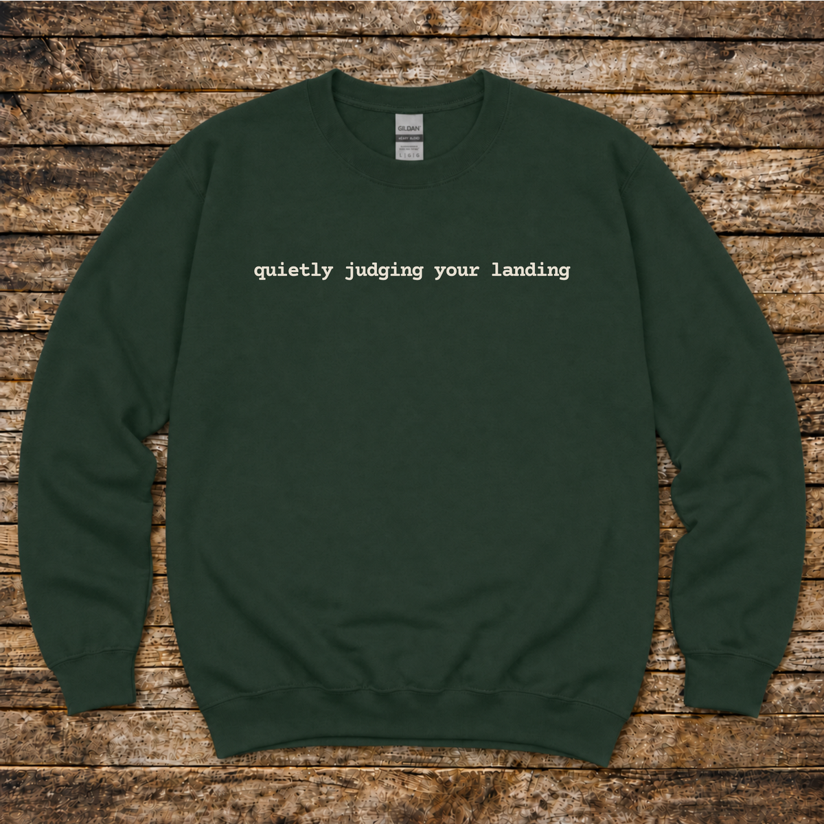 Quietly Judging Your Landing Sweatshirt