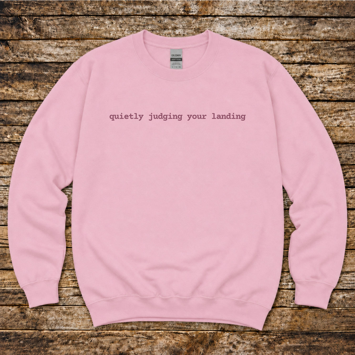 Quietly Judging Your Landing Sweatshirt